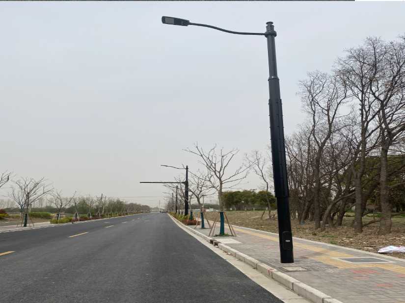 武侯区上海综合杆 太阳能路灯工程